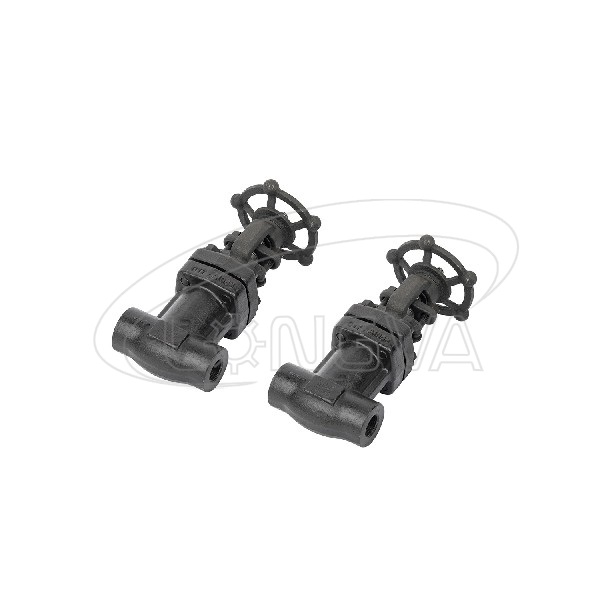 Forged steel NPT(S.W) Gate Valve