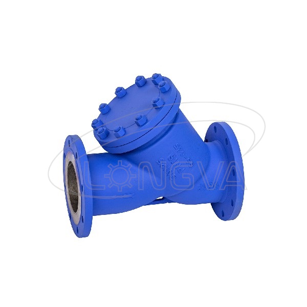 Stainless Steel SS304  Y type Flange Strainer
